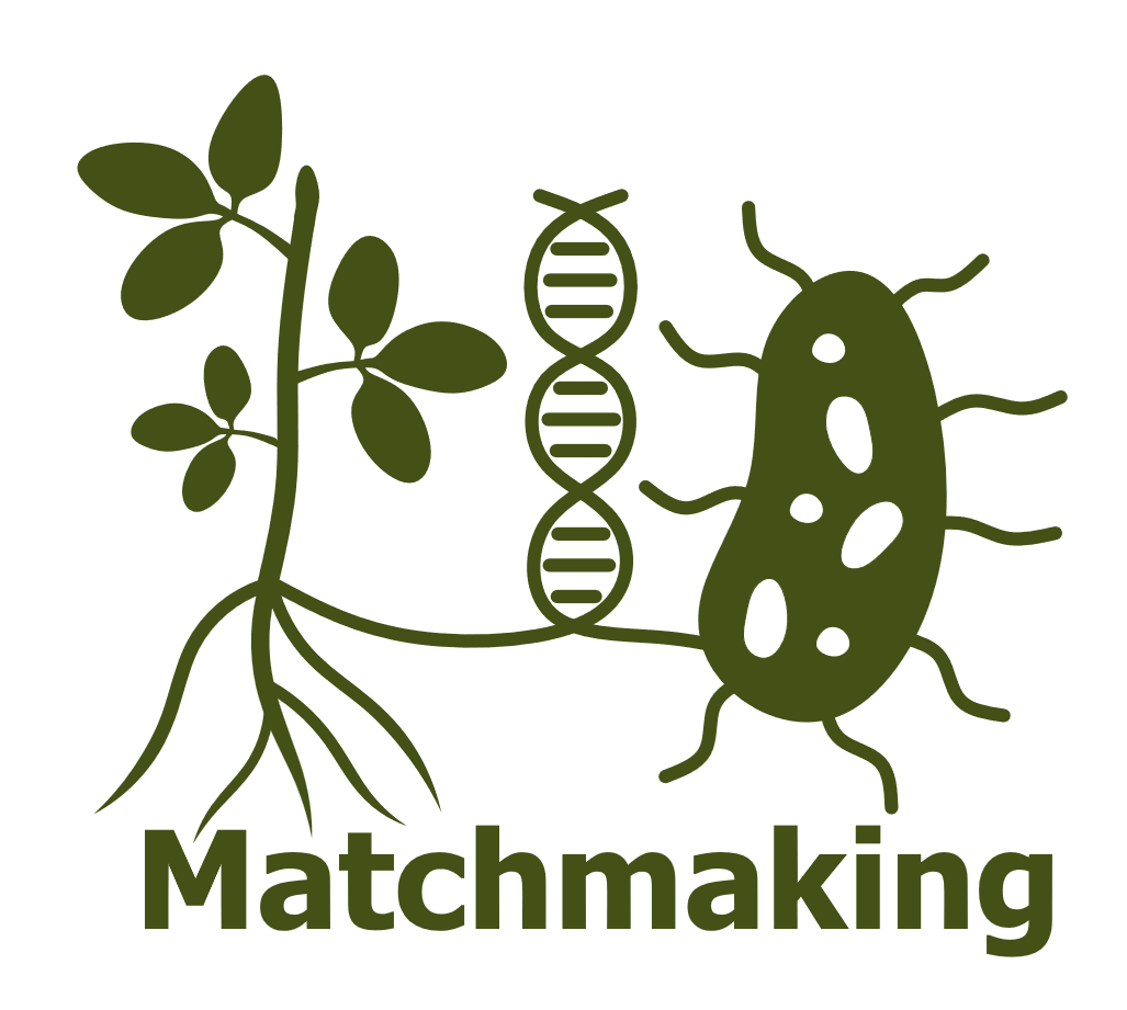 Matchmaking logo